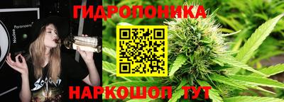 гашиш Сланцы