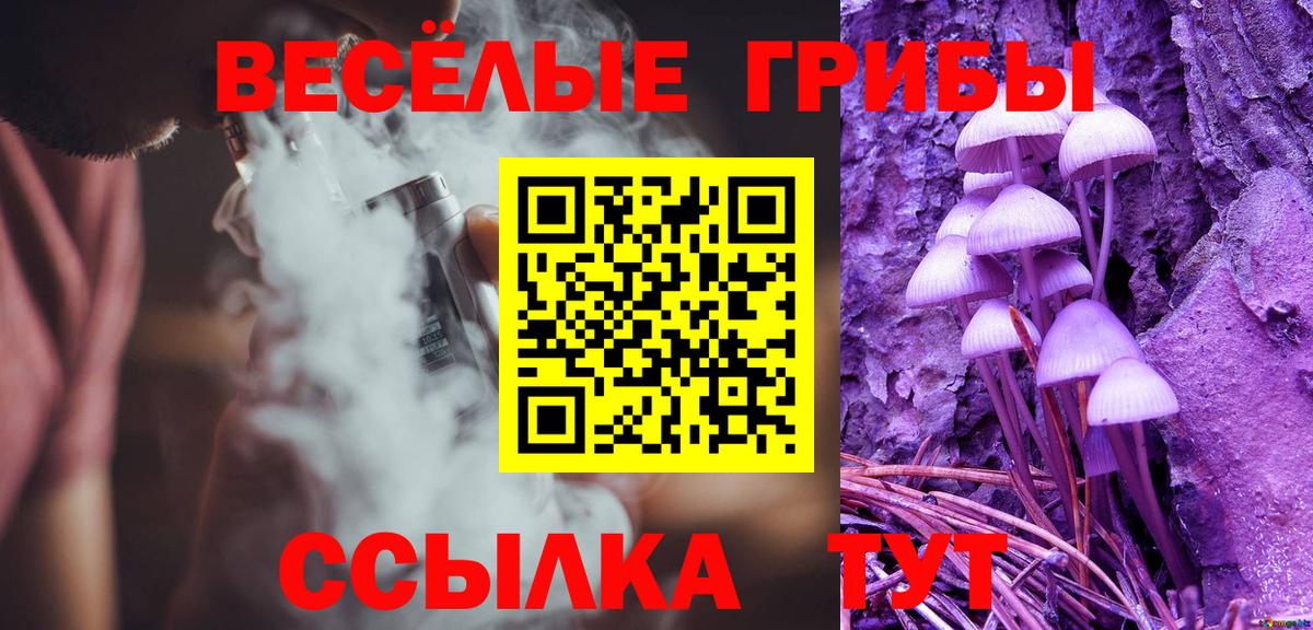 Нурлат  Галлюциногенные грибы Cubensis  Вход с VPN 